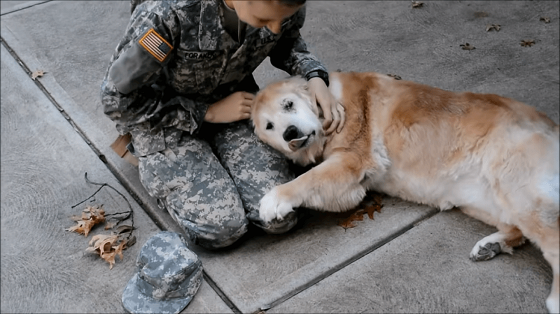 Heartwarming Reunion: Elderly Dog and Soldier Owner's Unbreakable Bond Heartwarming Reunion: Elderly Dog and Soldier Owner's Unbreakable Bond